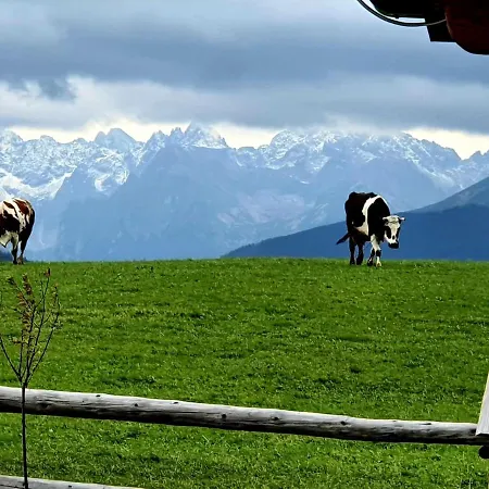 Tatry Mountain Glamp Z Jacuzzi Ζακοπάνε